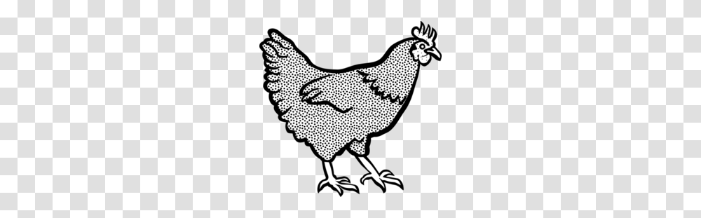 Fowl Clipart, Animal, Bird, Poultry, Hen Transparent Png