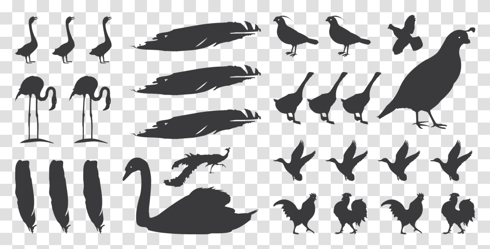 Fowlplay Silhouette, Bird, Animal, Military Uniform, Camouflage Transparent Png