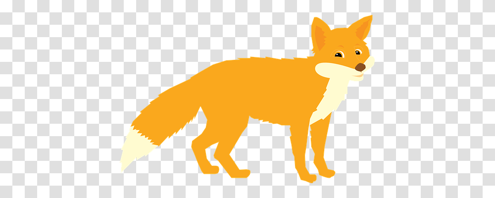 Fox Nature, Animal, Mammal, Wildlife Transparent Png