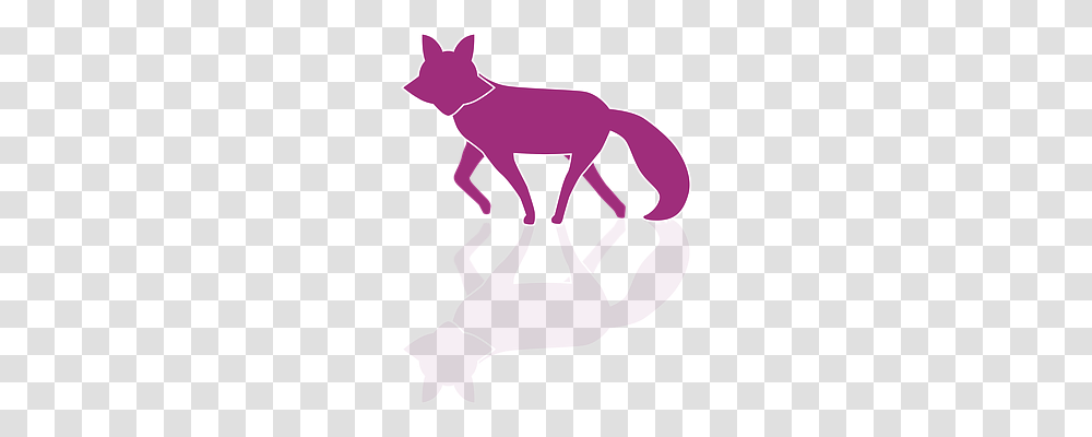 Fox Animals, Hourglass Transparent Png
