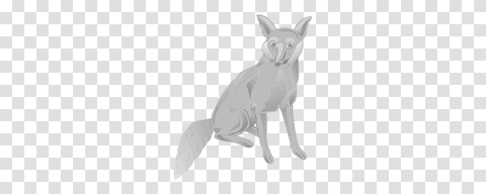Fox Animals, Mammal, Pet, Cat Transparent Png