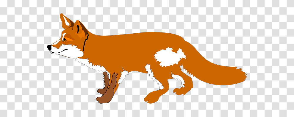 Fox Nature, Wildlife, Mammal, Animal Transparent Png