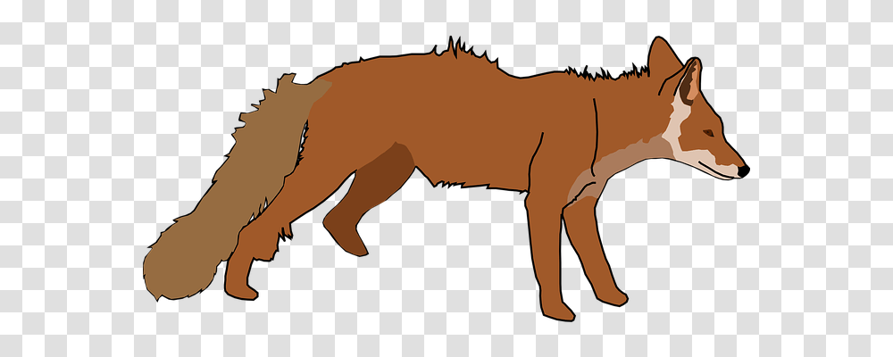 Fox Animals, Mammal, Wildlife, Horse Transparent Png