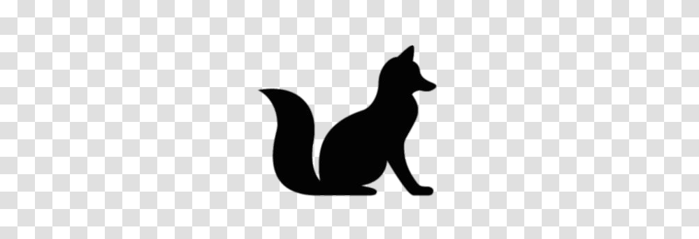 Fox, Cat, Pet, Mammal, Animal Transparent Png