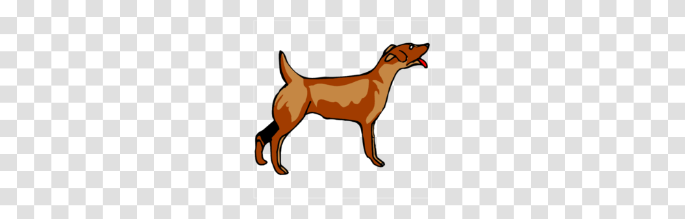 Fox Clipart, Animal, Mammal, Horse, Wildlife Transparent Png