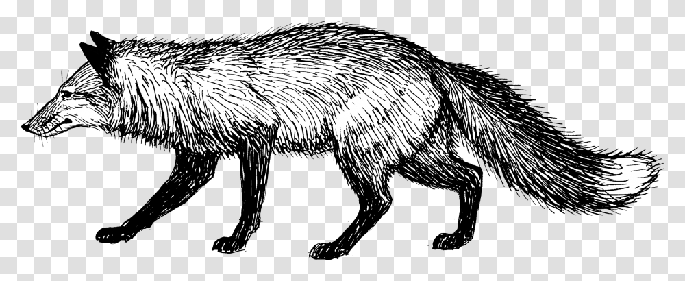 Fox Fox Black And White, Mammal, Animal, Wildlife, Badger Transparent Png