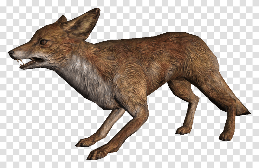 Fox Fox Skyrim, Coyote, Mammal, Animal, Dog Transparent Png
