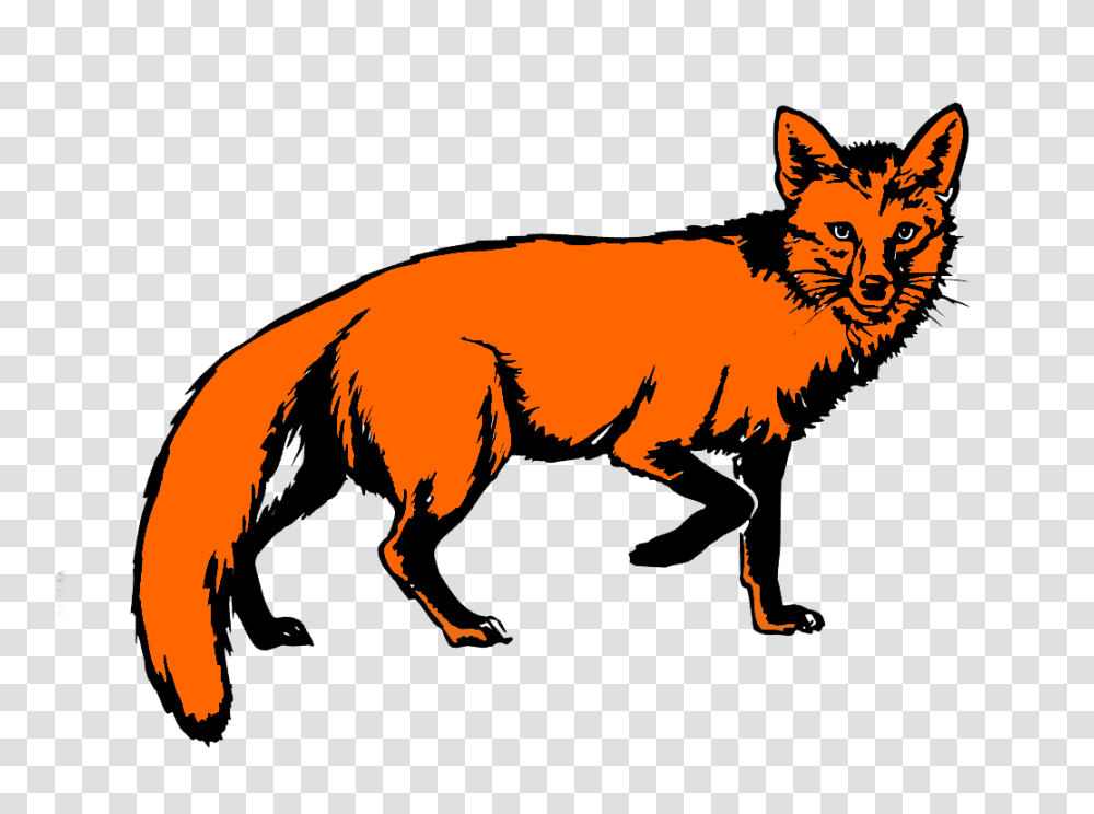 Fox Images, Red Fox, Canine, Wildlife, Mammal Transparent Png