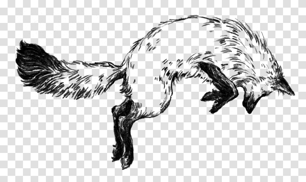Fox In The Snow Cafe, Gray, World Of Warcraft Transparent Png