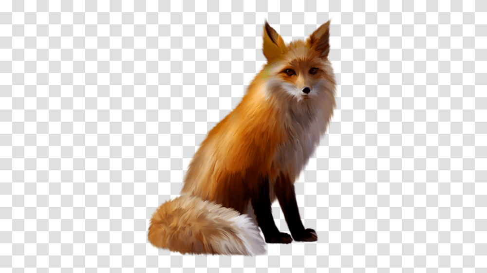 Fox Le Renard, Red Fox, Canine, Wildlife, Mammal Transparent Png