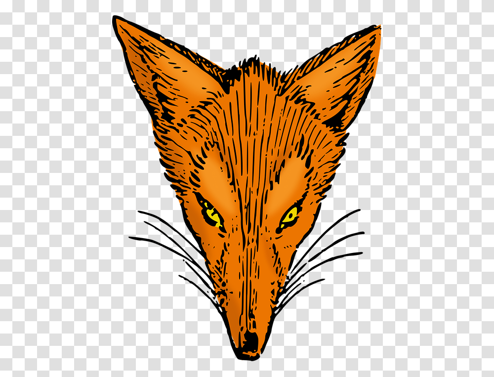 Fox, Mammal, Animal, Bird, Wildlife Transparent Png
