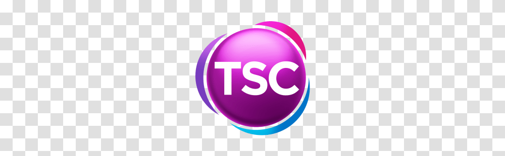 Fox News Logo Tv Channel Logo, Sphere, Purple Transparent Png