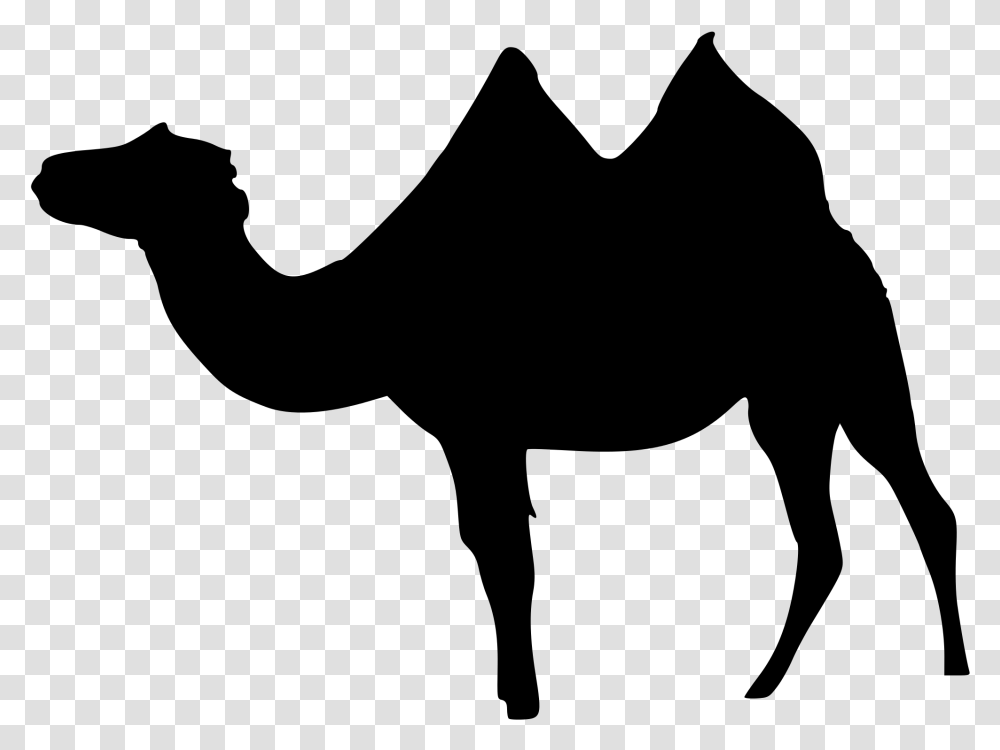 Fox Silhouette Bactrian Camel, Gray, World Of Warcraft Transparent Png