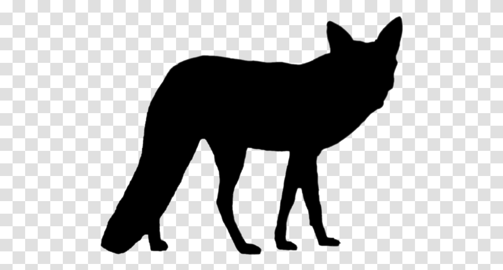 Fox Silhouette Foxsilhouette Fox Silhouette, Mammal, Animal, Wildlife, Cat Transparent Png