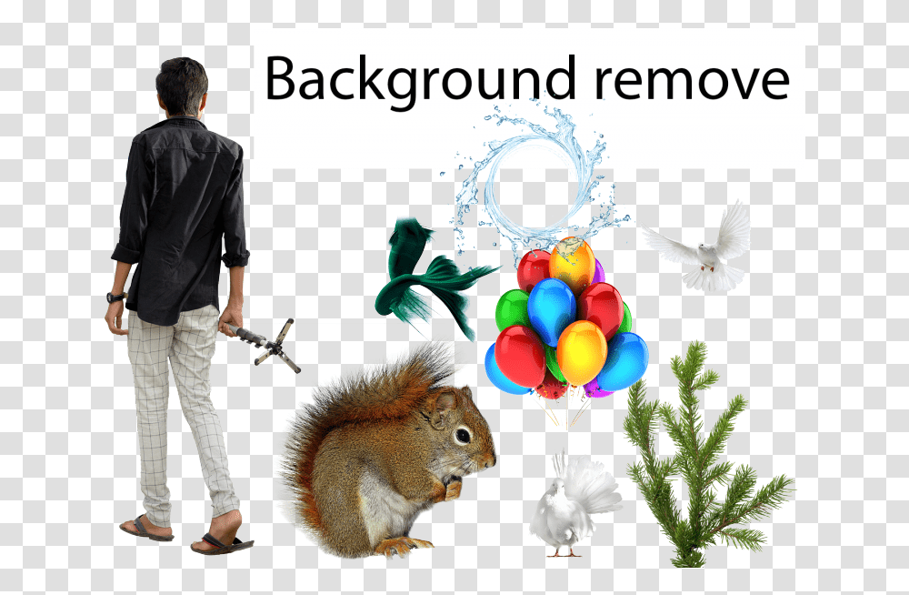 Fox Squirrel, Person, Human, Animal, Mammal Transparent Png