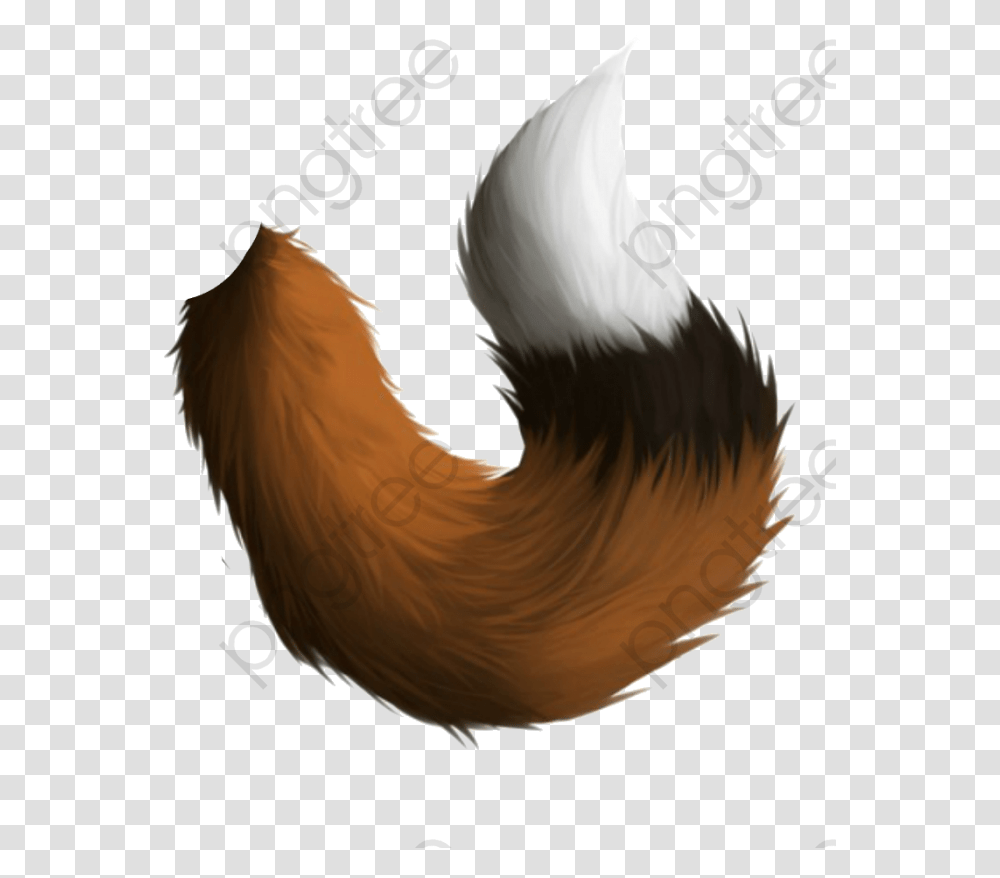 Fox Tail Fox Clipart Hand Painted Tail Fox Tail, Animal, Bird, Person, Human Transparent Png