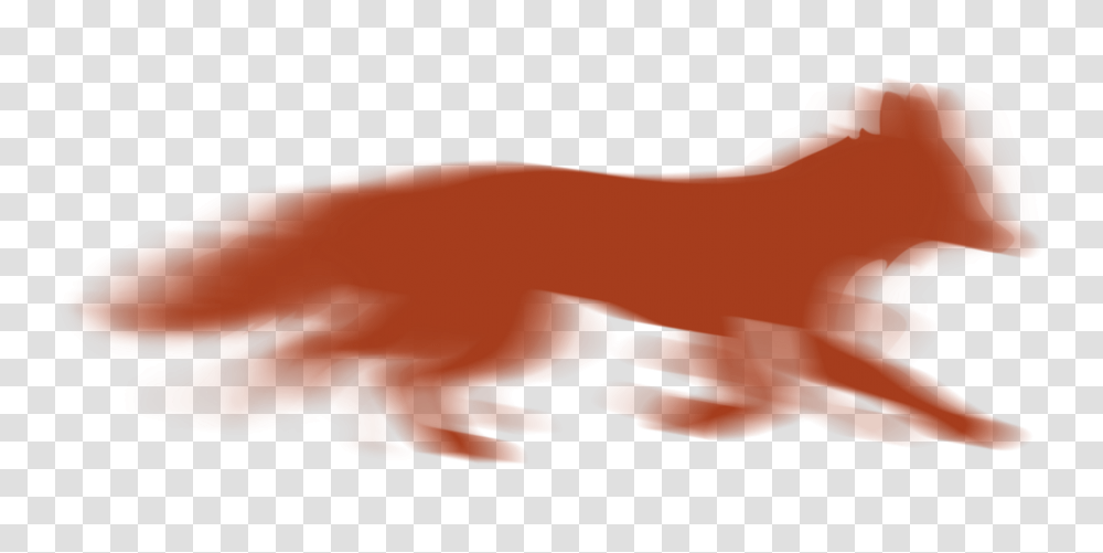 Fox Tale Films, Mammal, Animal, Wildlife, Bird Transparent Png