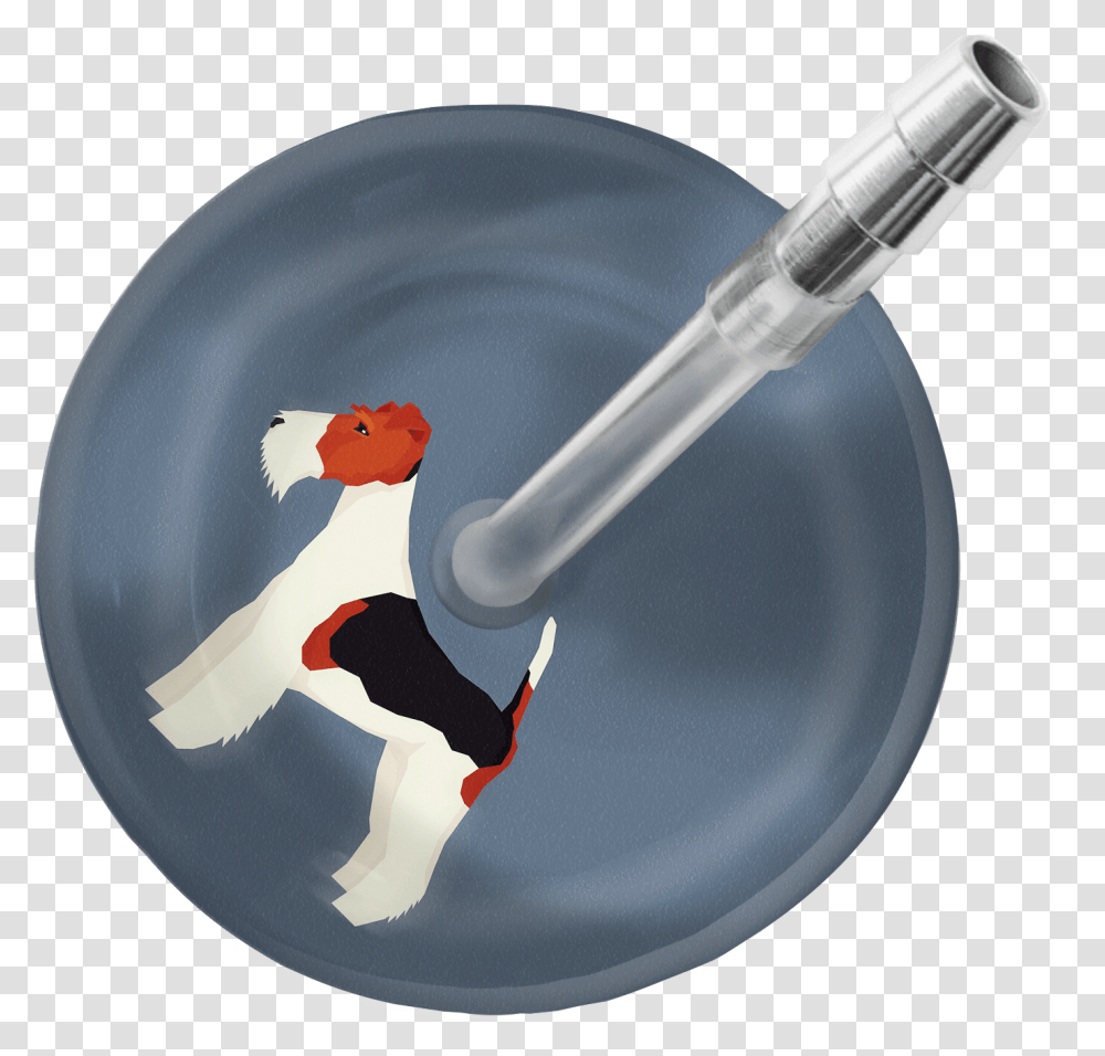 Fox Terrier StethoscopeClass Stethoscope Ultrascope Avec Initiales, Ashtray, Bird, Animal, Injection Transparent Png