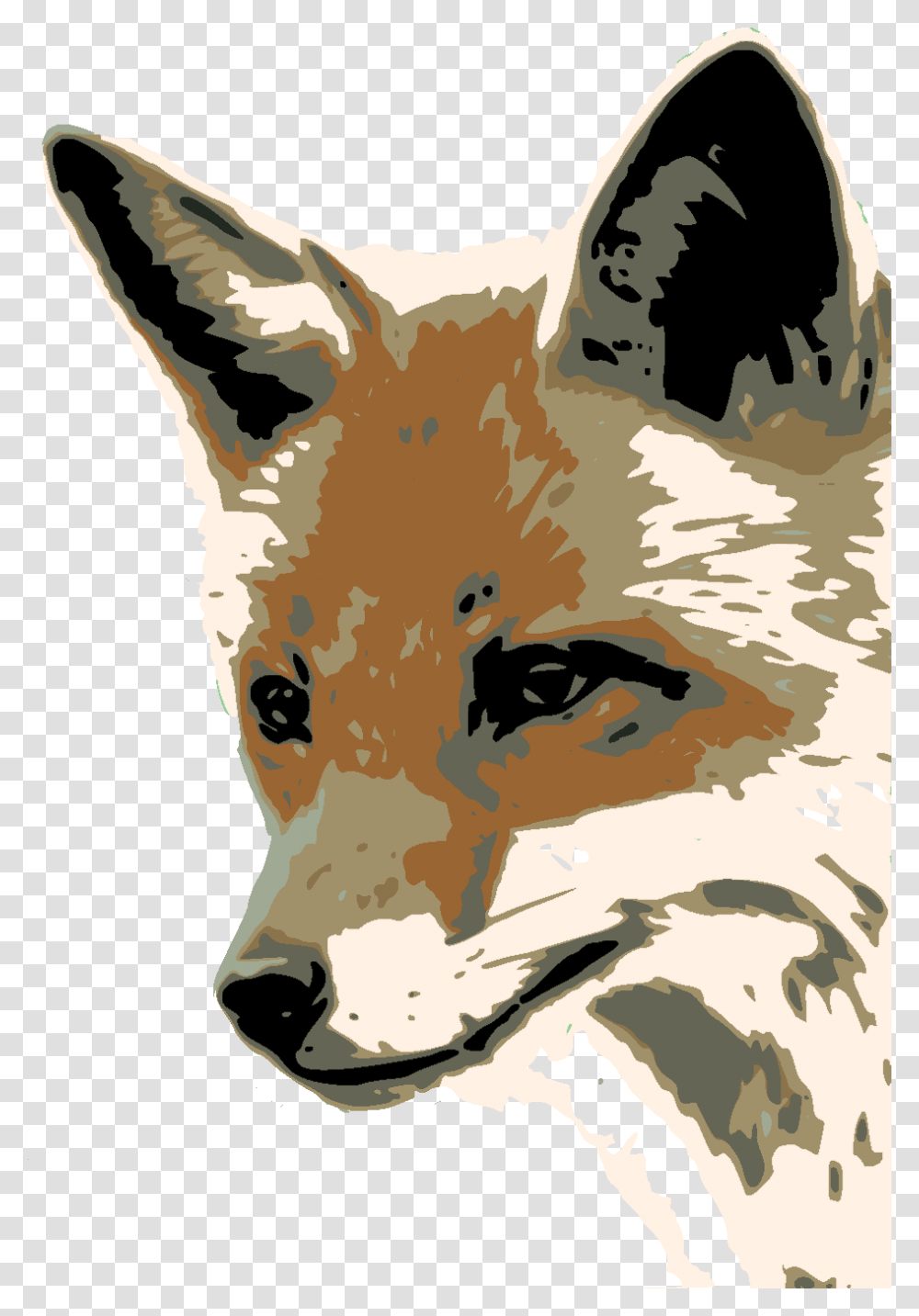 Foxface Dis Fox Face, Mammal, Animal, Wildlife, Canine Transparent Png