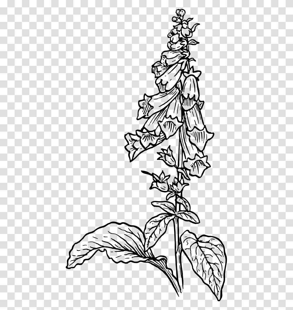 Foxglove Black And White Foxglove Drawing Foxglove Drawing, Gray, World Of Warcraft Transparent Png