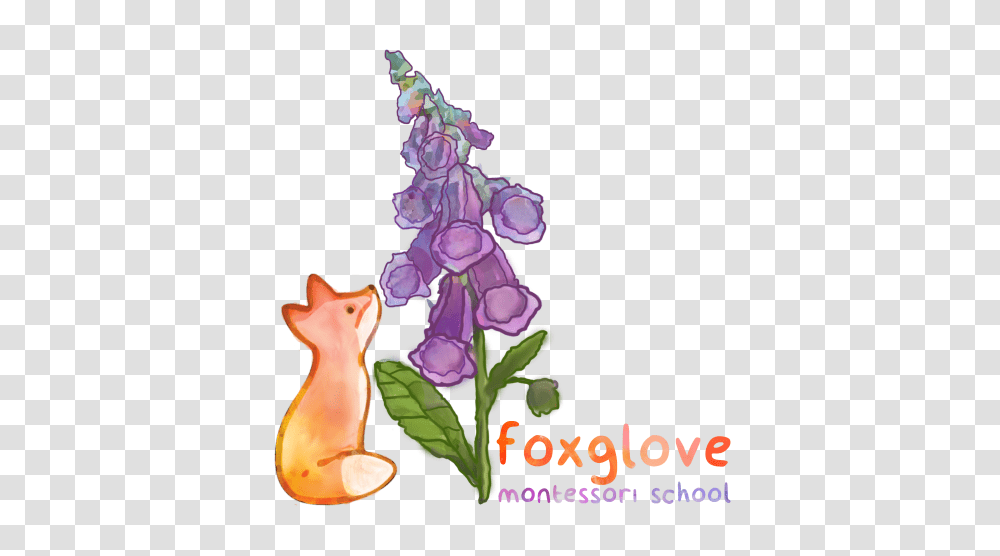 Foxglove Montessori, Plant, Flower, Blossom Transparent Png