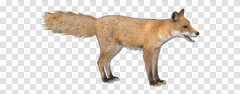 Foxred Hendrix Zoo Tycoon 2 Fox, Dog, Pet, Canine, Animal Transparent Png