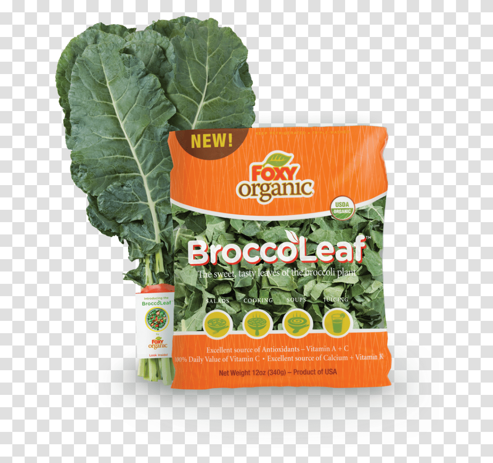 Foxy Organic Broccoleaf, Plant, Kale, Cabbage, Vegetable Transparent Png