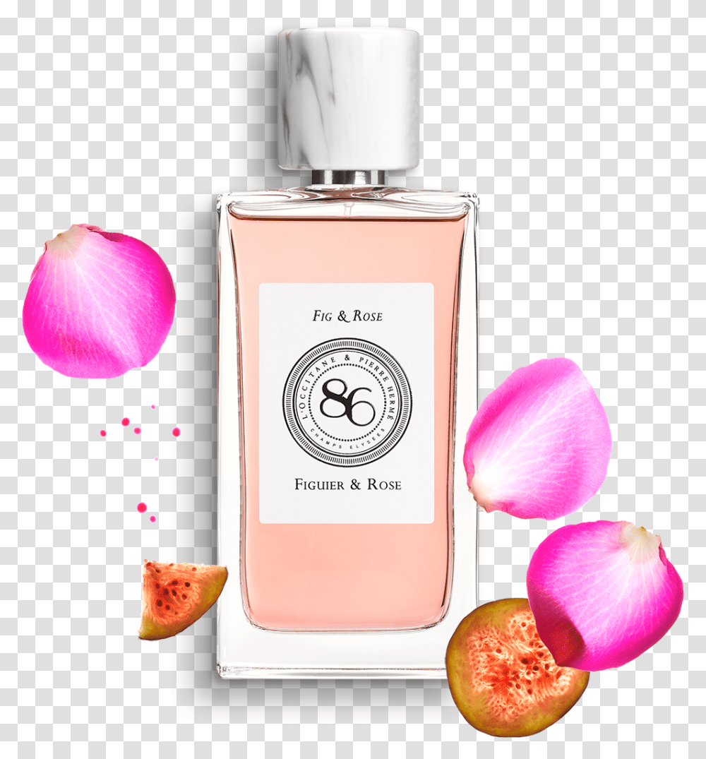 Fragrance Fig & Rose Eau De Parfum L'occitane L Occitane Fig And Rose, Petal, Flower, Plant, Blossom Transparent Png