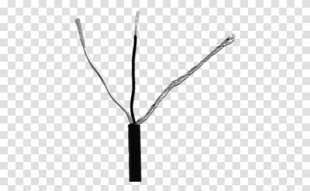 Fralin Pickups 2 Conductor Lead Monochrome, Plant, Flower, Bow, Tree Transparent Png