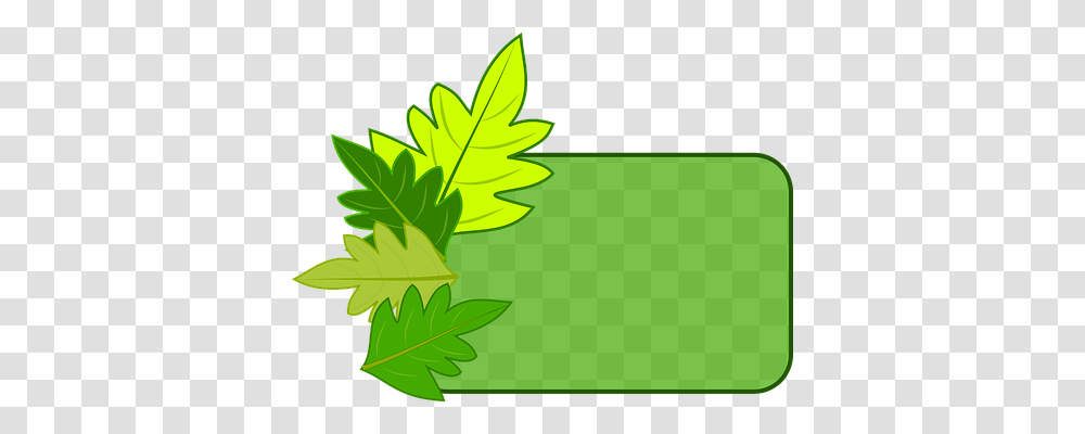 Frame Nature, Green, Leaf, Plant Transparent Png