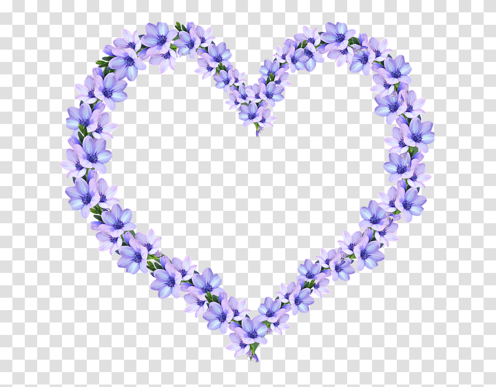 Frame 960, Flower, Plant, Blossom, Ornament Transparent Png