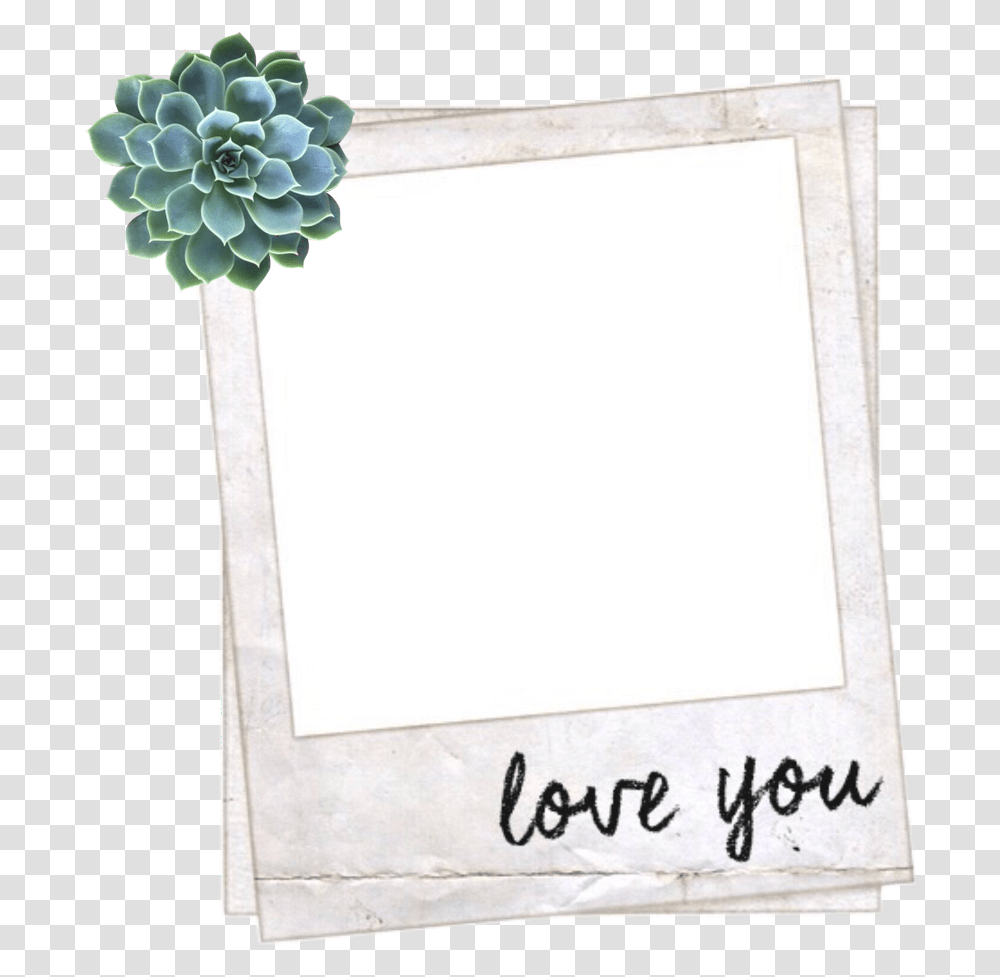Frame Aesthetic Tumblr Polyvore Succulent Love You Overlay, Envelope, Paper, Pillow, Cushion Transparent Png