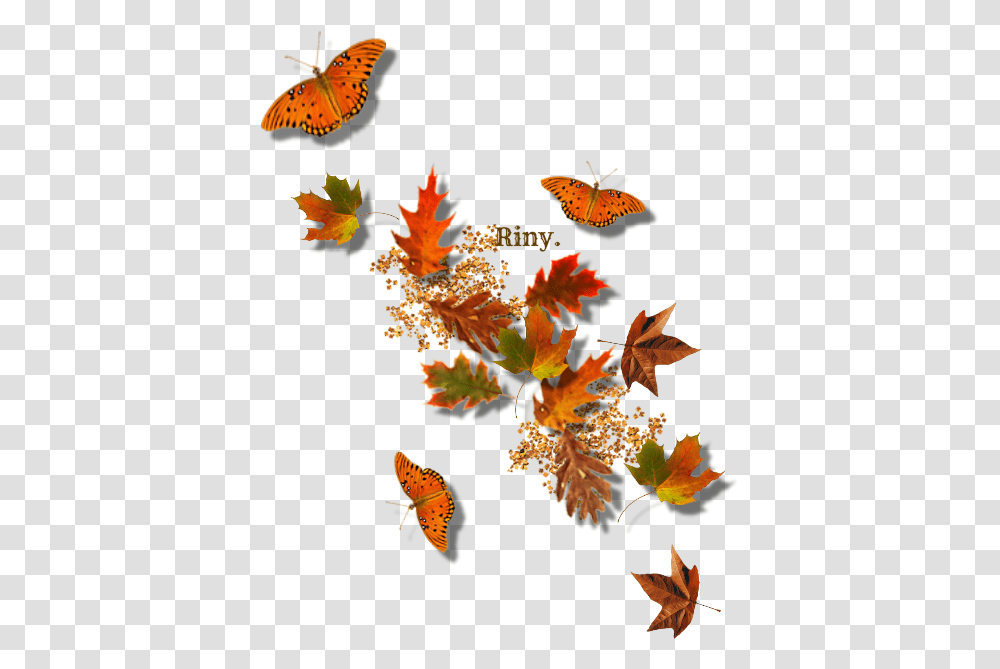Frame Autumn Leaves, Leaf, Plant, Insect, Invertebrate Transparent Png
