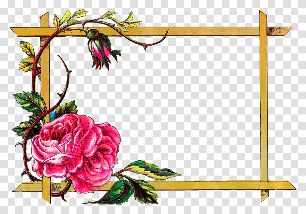 Frame Border Design Flower, Plant, Floral Design, Pattern Transparent Png