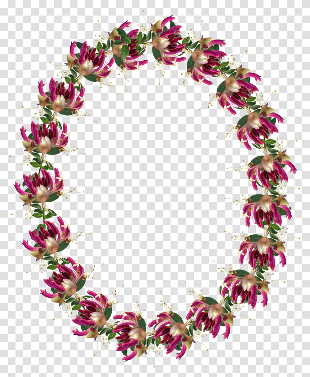 Frame Border Honeysuckle Flower Wreath Drawing, Plant, Blossom, Flower Arrangement, Photography Transparent Png