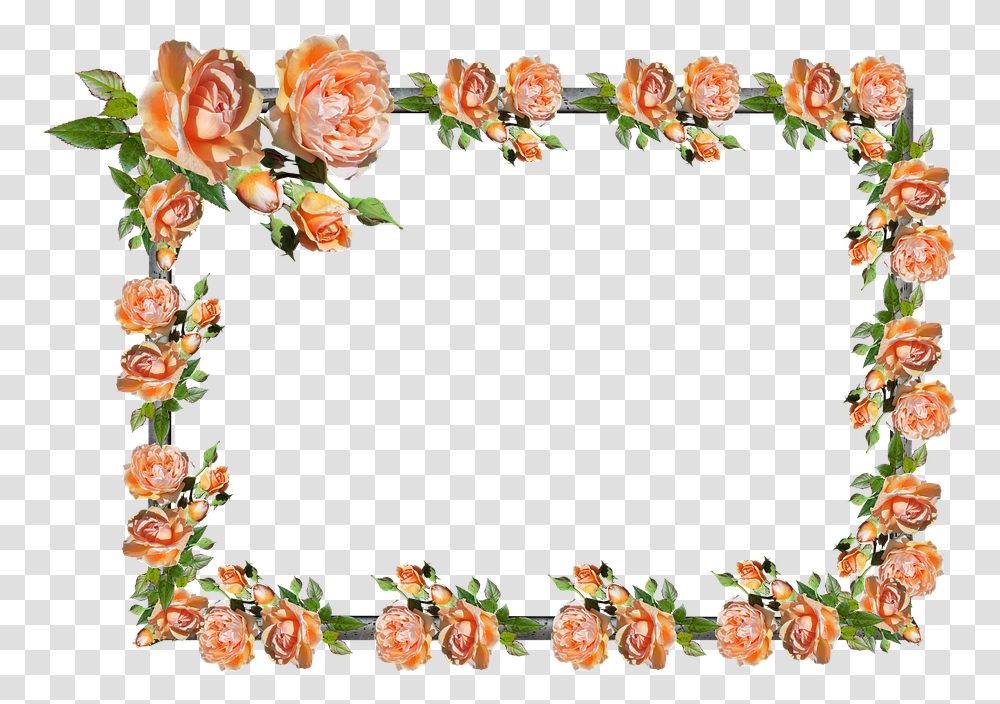 Frame Border Rose Floral Decoration Floribunda, Floral Design, Pattern Transparent Png
