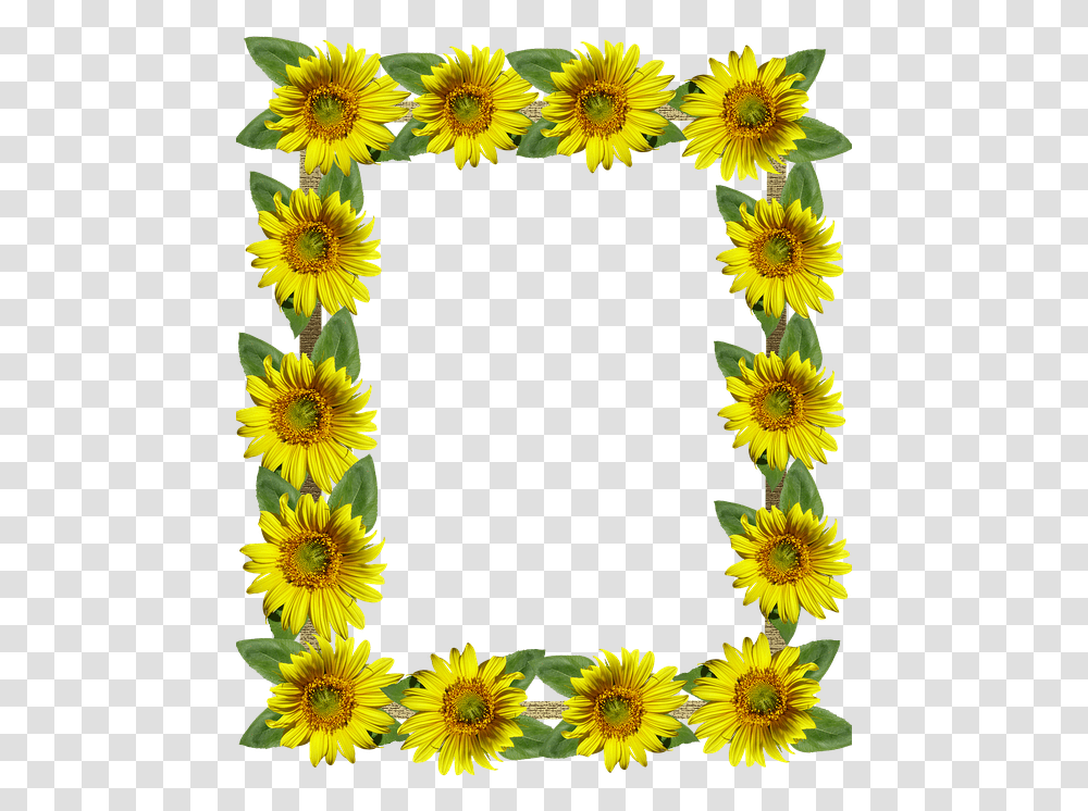 Frame Border Sunflowers Aesthetic Sunflower, Plant, Blossom, Daisy, Daisies Transparent Png