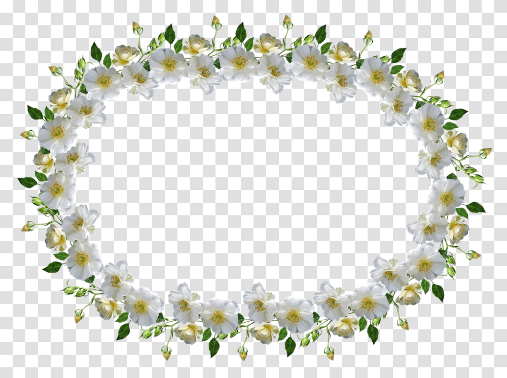 Frame Border White Rose Floral Bingkai Bunga Mawar Putih, Plant, Flower, Blossom, Flower Arrangement Transparent Png