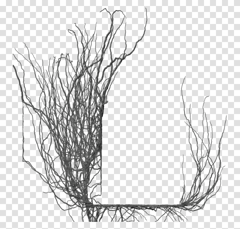 Frame By Brokenwing Dstock Gothic White Frame, Plant, Root, Bush Transparent Png