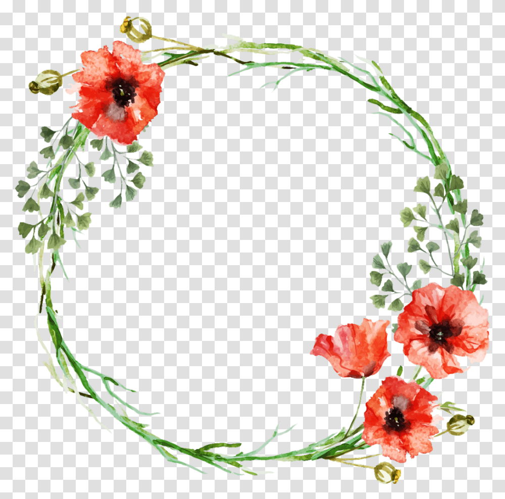 Frame Circle Circleframe Flowerframe Flowersframe Flower Circle Frame Design, Plant, Blossom, Wreath Transparent Png