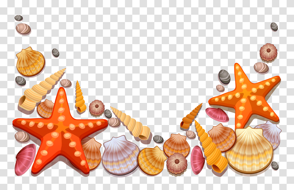 Frame Clipart Seashell, Sea Life, Animal, Invertebrate, Clam Transparent Png