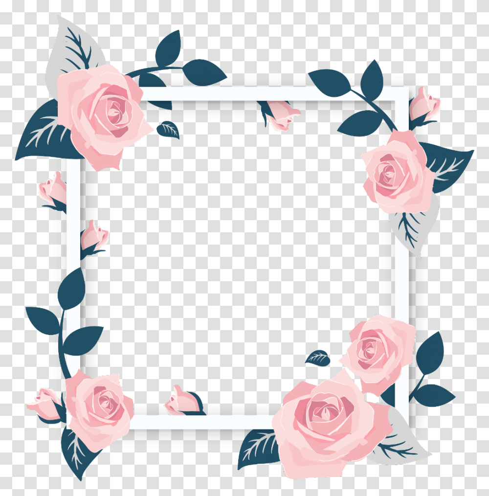 Frame Flower, Plant, Blossom Transparent Png