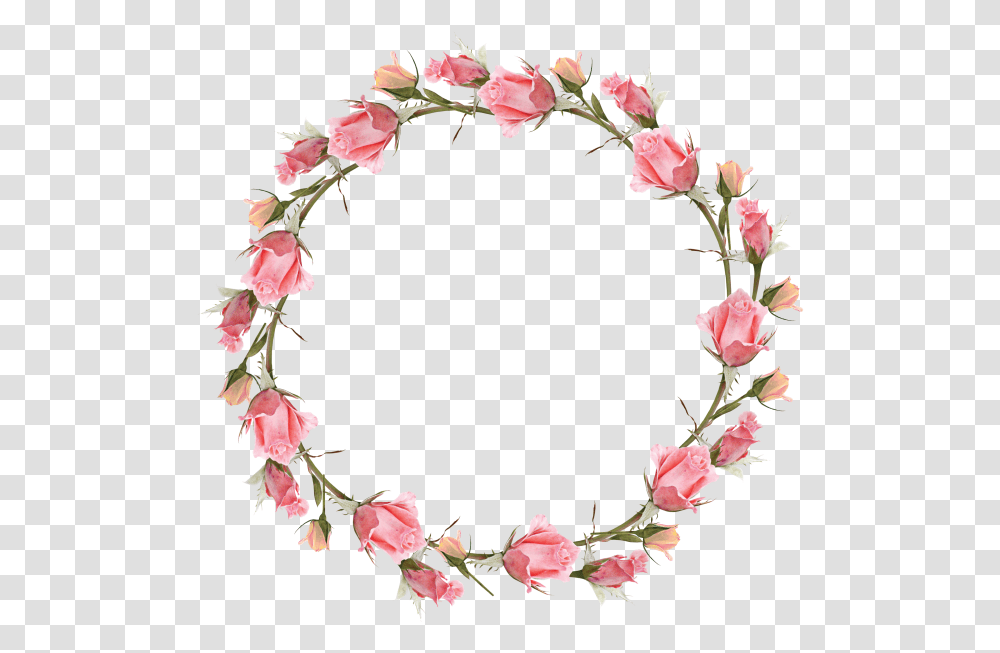 Frame Flower, Plant, Blossom, Petal, Wreath Transparent Png