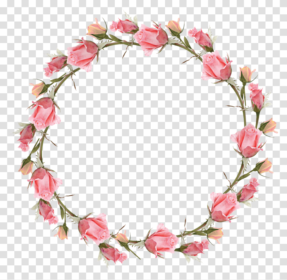 Frame Flower, Plant, Blossom, Wreath, Petal Transparent Png