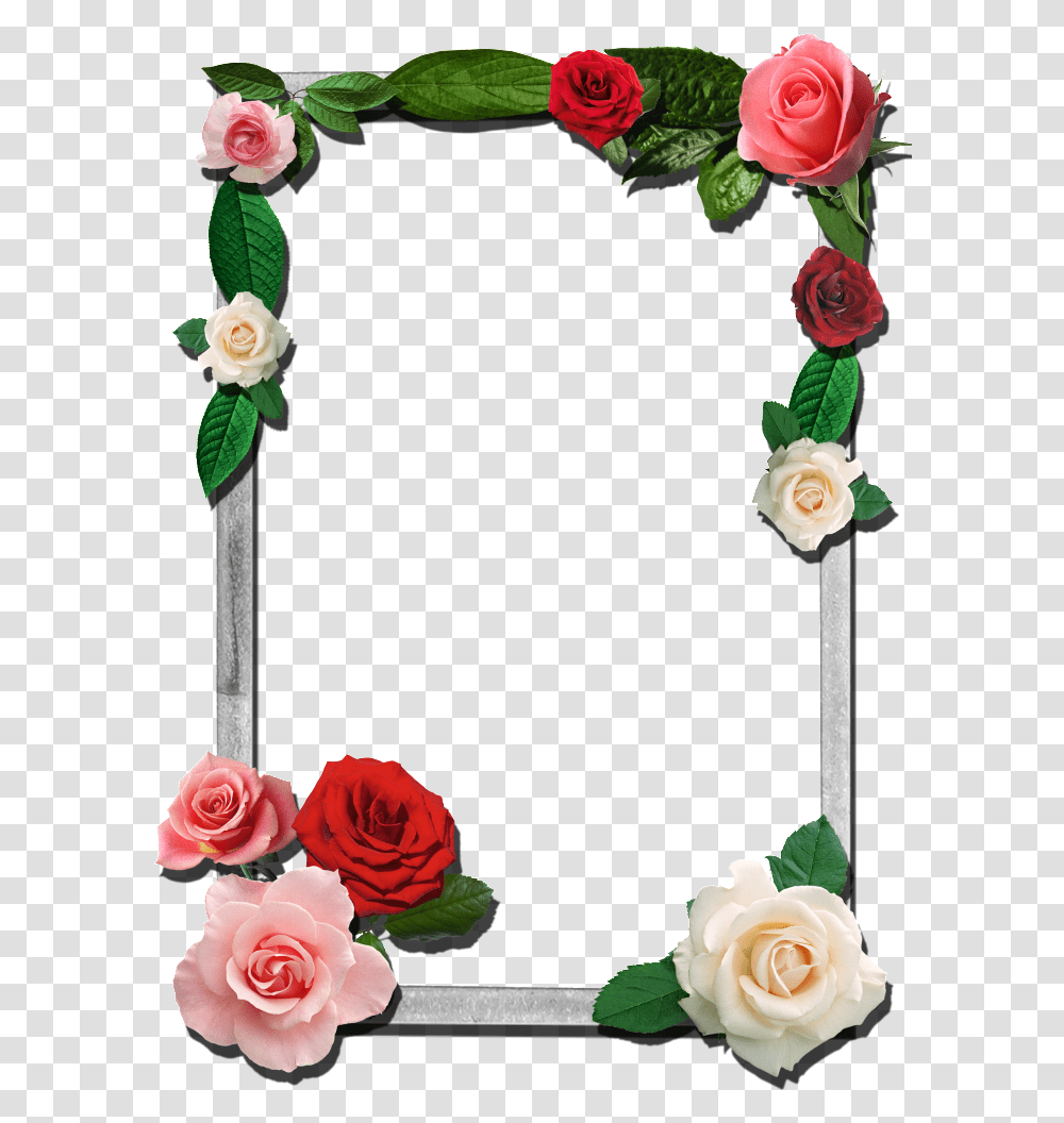 Frame For Adobe Photoshop, Plant, Rose, Flower, Flower Arrangement Transparent Png