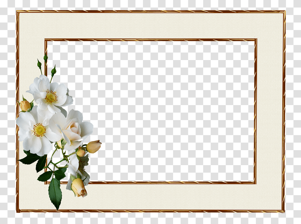 Frame Gold Edge White Rose White Roses Gold Frame, Plant, Flower Bouquet, Flower Arrangement, Blossom Transparent Png
