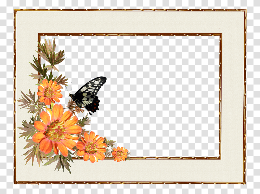Frame Golden Frame Border, Plant, Animal, Insect, Invertebrate Transparent Png