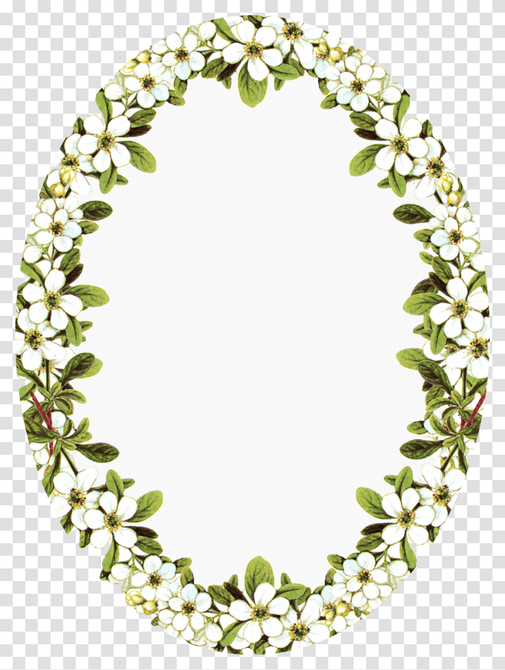 Frame Oval With Flowers, Wreath, Pattern Transparent Png