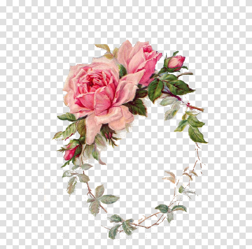 Frame Pink Vintage Rose, Floral Design, Pattern Transparent Png