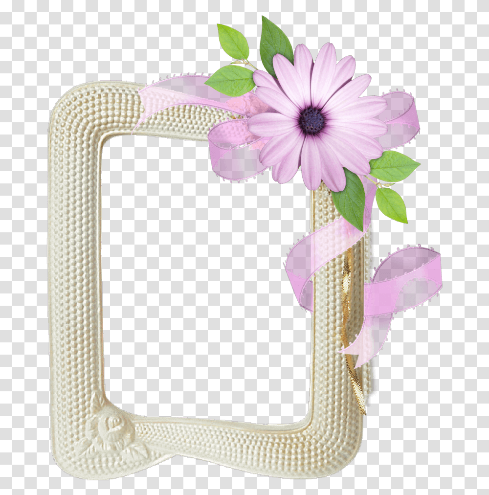 Frame, Plant, Flower, Daisy, Cushion Transparent Png